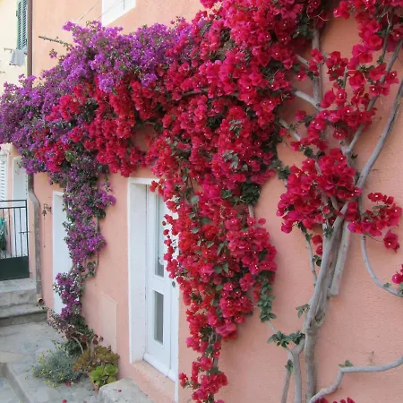 Albariba Casa vacanze